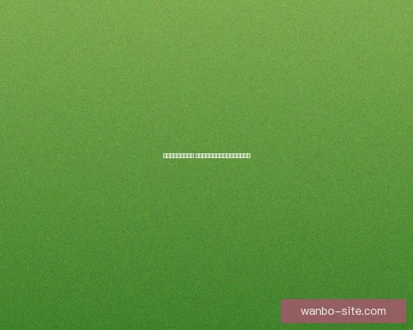 世界杯买球平台推荐 优质安全的投注体验与热门赛事分析