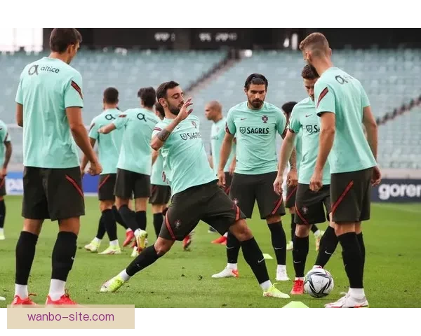 世界杯足球竞猜赔率分析与投注策略深度解析助你轻松盈利