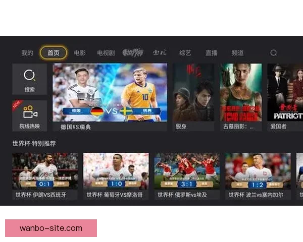 世界杯竞猜官网权威入口实时比分数据分析与投注技巧全解析